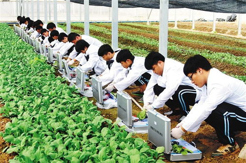 農大溫情畢業禮 萬斤水果贈學子，暖心與專業技能并重